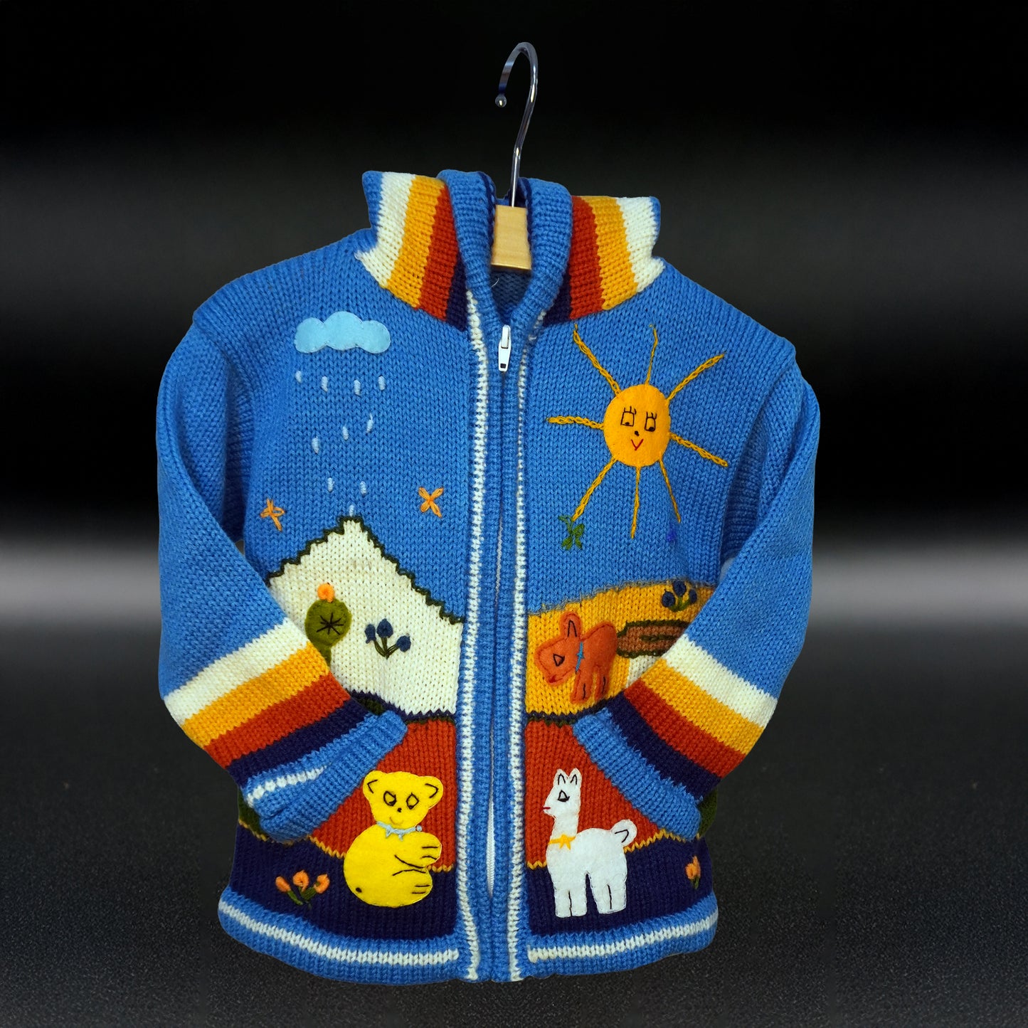 Peruvian Hand-Knit Wool Cardigan | Andean Embroidered Sweater - Size 6
