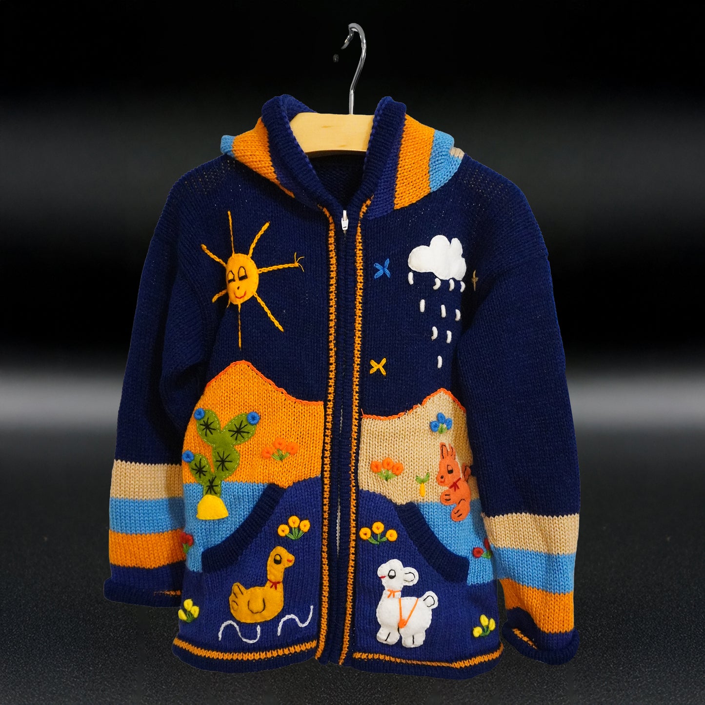 Peruvian Hand-Knit Wool Cardigan | Andean Embroidered Sweater - Size 12