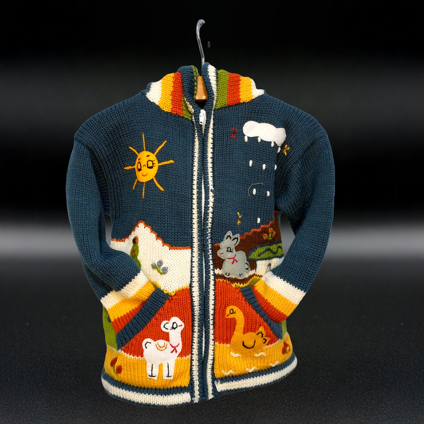 Peruvian Hand-Knit Wool Cardigan | Andean Embroidered Sweater- Size 8