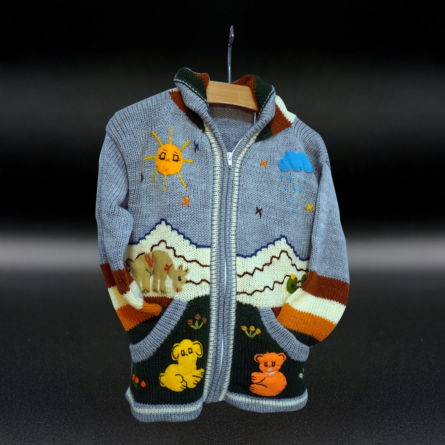 Peruvian Hand-Knit Wool Cardigan | Andean Embroidered Sweater - Size 10