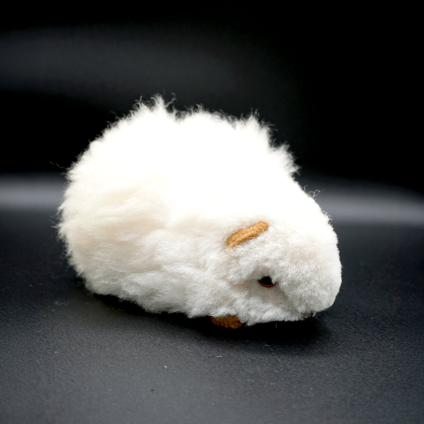 Alpaca guinea pig - Decorative white