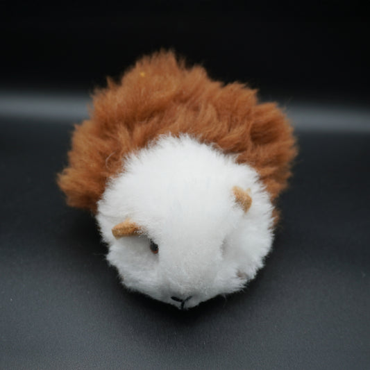 Alpaca guinea pig - Decorative white and brown